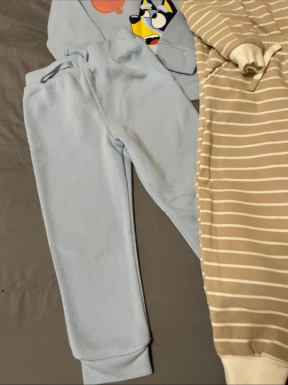 Bluey outfit worn